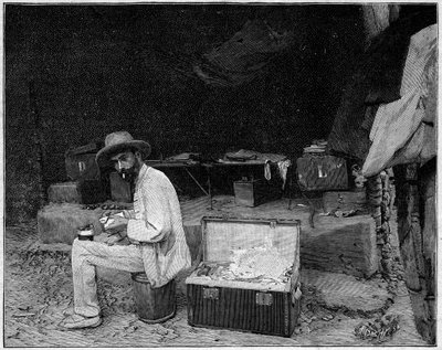 Portrait of Doctor Francois Crozat (1858-1892), French explorer by Unknown artist