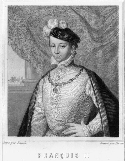 Portrait of Francois II (1544 - 1560), King of France - in Histoire des Français by Lavallée, engraving, sd by Unknown artist