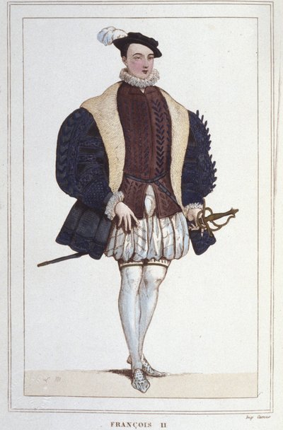 Portrait of Francois II (1544 - 1560), King of France. Engraving from 1830 by Unknown artist