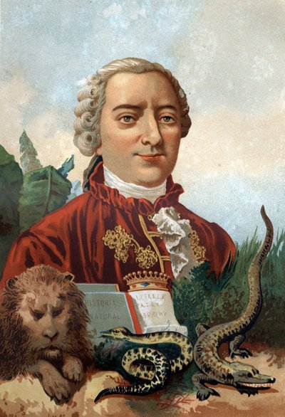 Portrait of Georges Louis Leclerc, Count of Buffon (1707 - 1788), French naturalist and writer by Unknown artist