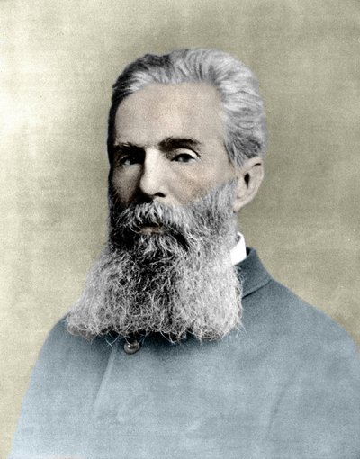 Portrait of Herman Melville (1819-1891) American novelist by Unknown artist