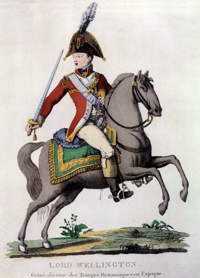 Portrait of Lord Wellington (1769-1852), General of British Troops in Spain by Unknown artist