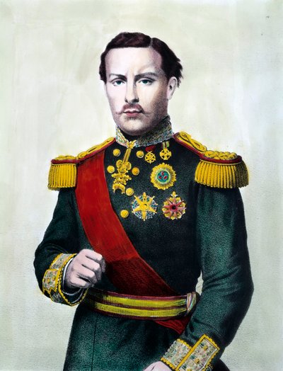 Portrait of Louis I of Portugal by Unknown artist