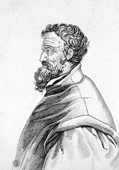 Portrait of Michelangelo Buonarroti by Unknown artist