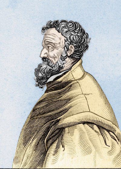 Portrait of Michelangelo Buonarroti dit Michelangelo by Unknown artist