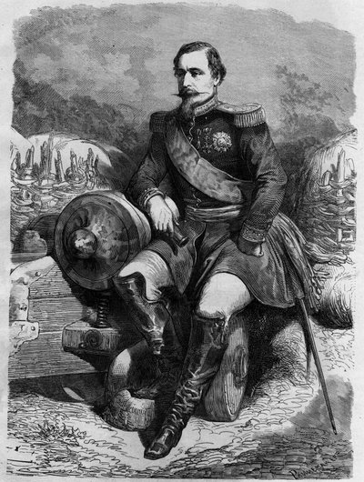 Portrait of Napoleon III (1808-1873), Emperor of the French by Unknown artist
