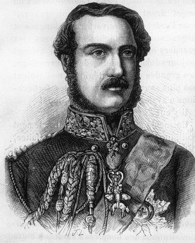 Portrait of Prince Albert, Prince of England and Ireland. by Unknown artist