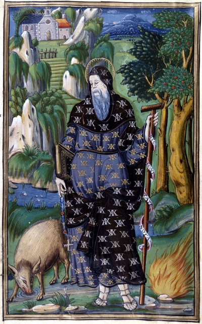 Portrait of Rodomont, buckwheat hero of the chivalrous poems 