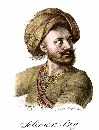 Portrait of Suleyman I the Magnificent (1494-1566), Ottoman Sultan by Unknown artist