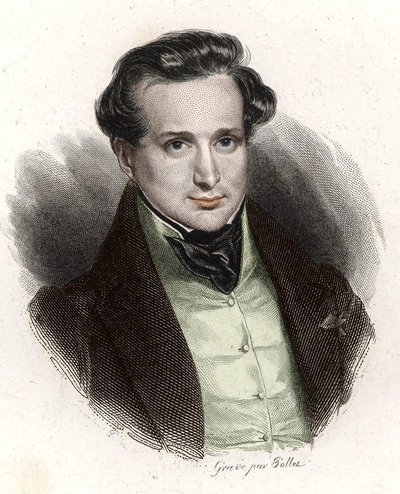 Portrait of Victor Hugo, Young Man by Unknown artist