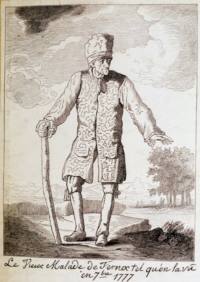 Portrait of Voltaire (1694-1778), French writer and philosopher, elderly by Unknown artist