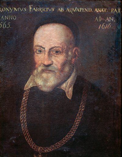 Portrait of Hieronymus Fabricius by Unknown artist