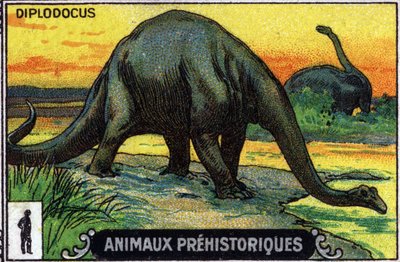 Prehistoric Animal: Diplodocus Dinosaur by Unknown Artist