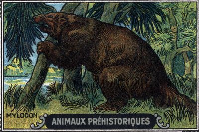 Prehistoric animal: a mylodon by Unknown Artist