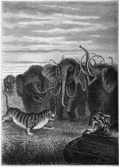 Prehistory: Mammoths and giant cave cats. Engraving from 