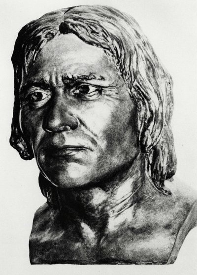 Prehistory: reconstruction of Cro-Magnon