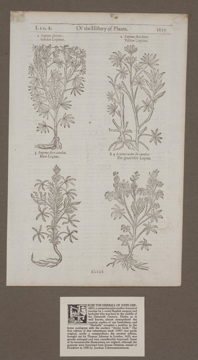 Printed page 1217 from 