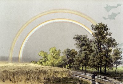 Rainbow - in 