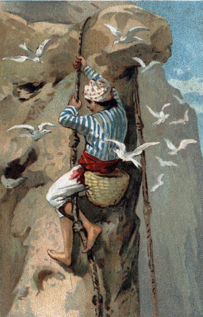 Recollection of salangan swallows nests in Malaysia. Chromolithography of the late 19th century by Unknown artist