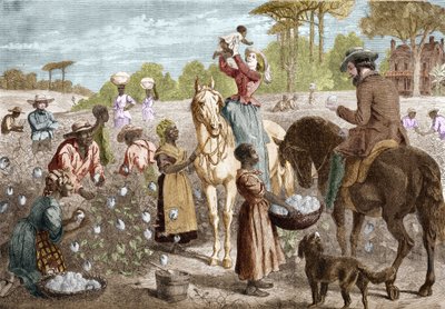 Recycled cotton from a house in the southern United States in 1864. by Unknown artist