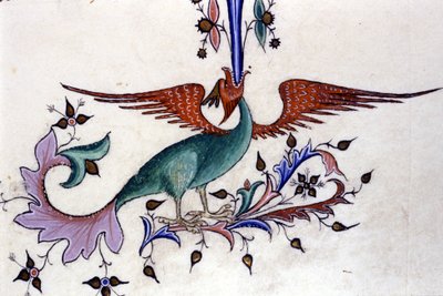 Representation of a Dragon Wing (Miniature of a 14th Century Manuscript) by Unknown artist