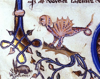Representation of a fantastic animal, half man half dragon. Miniature of a 14th century manuscript by Unknown artist