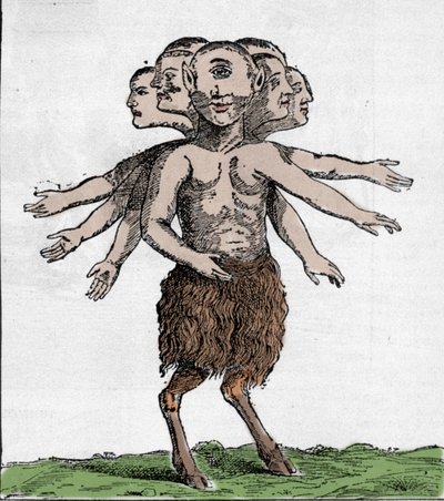 Representation of a monstrous creature captured in the Zardana mountain range in Spain in 1655 by Unknown artist