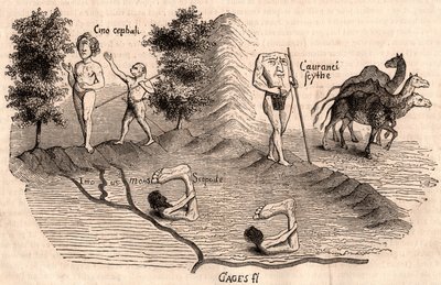 Representation of Medieval Tribes and Animal Species: Monocules, Blemmys, Sciopodes and Camels by Unknown artist