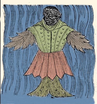Representation of the sea monk, imaginary fish and marine monster. Engraving from 
