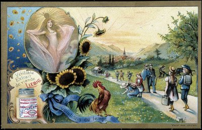 Rooster Singing the Sunrise by Unknown artist