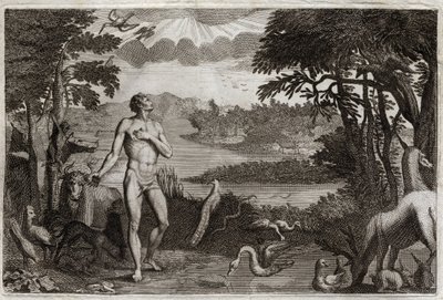 Royaumont Bible, Old Testament: Creation of Man and Woman. God who created man, puts him in the earthly Paradise, and forbids him to eat of the fruit of the tree of the knowledge of good and evil. Illustration from 1811. by Unknown artist