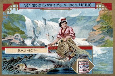 Salmon Fishing - Chromo of the 19th Century by Unknown artist