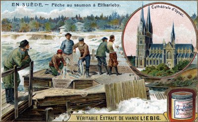 Salmon Fishing in Elfkarleby, Sweden. Chromolithography, Liebig Image by Unknown artist
