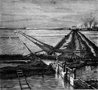 Salt production: view of a saline (salt marsh) on the Mediterranean coast. Engraving of the 19th century by Unknown artist
