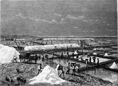 Salt production: view of a salt marsh by Unknown artist
