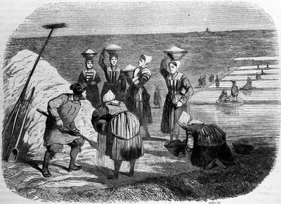 Salt production: women working in salt marshes. 19th century engraving by Unknown artist