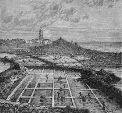 Sauniers in a salt marsh in Bourg de Batz, near Croizic during the period of Saunage. In "Wonders of the Industry" by Louis Figuier by Unknown artist