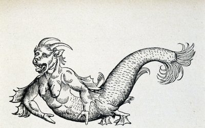 Sea devil, supposedly captured in the Adriatic Sea at the beginning of the 15th century - according to Gesner by Unknown artist