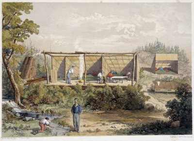 Settlers
