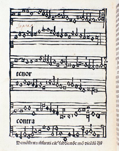 Sheet music page for Musicological studies and documents by Nicola Burzio by Unknown artist