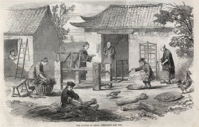 Silk production in China and the various stages of manufacturing. by Unknown artist