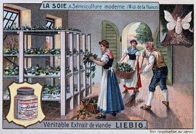 Silk: Silk Workshop in the South of France, Liebig Publicity, c. 1895 by Unknown artist