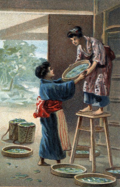 Silkworm breeding in a Japanese magnet. Chromolithography of the late 19th century by Unknown artist