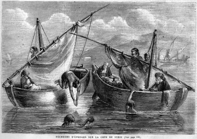 Sponge fishermen on the Syrian coast in 1867 by Unknown artist