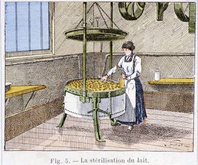 Sterilization of milk - engraving, late 19th century by Unknown artist
