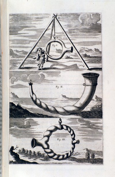 Study of phonology from Pronurghia nova by Unknown artist