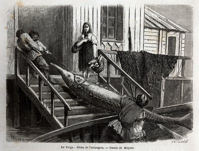 Sturgeon fishing at the mouth of the Volga River. Engraving to illustrate the voyage on the Volga by M. Moynet, in 1864, in 