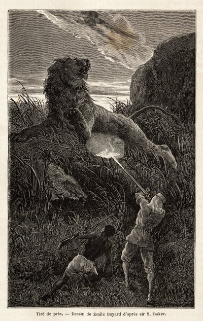 Surprised by a Lion During the Hike by Unknown artist