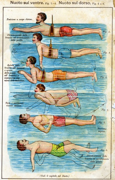 Swimming on the Belly - in Bilz, Natural Medication, Late 19th Century by Unknown artist