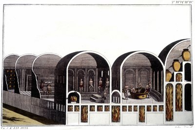 The Baths of Caracalla in Rome (Engraving from the Beginning of the 19th Century) by Unknown artist